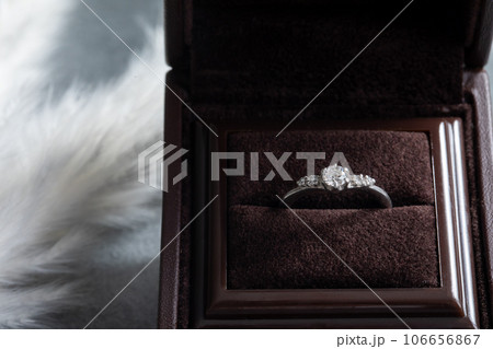 婚約指輪 engagement ring 婚約指輪 engagement ring 106656867