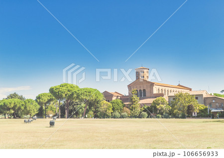 Basilica of Sant'Apollinare in Classe Basilica of Sant'Apollinare in Classe 106656933