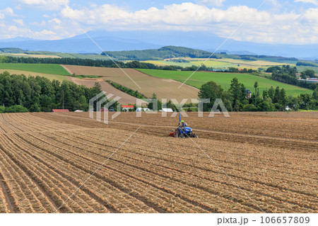 夏の丘に広がる玉ねぎ畑とトラクターで作業する農夫 夏の丘に広がる玉ねぎ畑とトラクターで作業する農夫 106657809