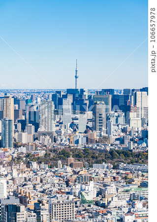 「東京都」渋谷スカイから望む都心の街並み 106657978