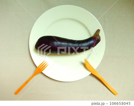 鮮やか 白い皿に乗った茄子とナイフとフォーク 鮮やか 白い皿に乗った茄子とナイフとフォーク 106658045