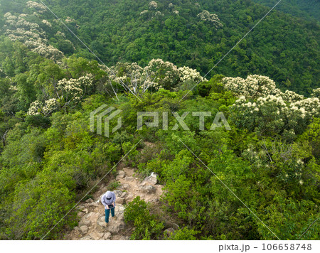 People remote contrlling a flying drone in spring forest People remote contrlling a flying drone in spring forest 106658748