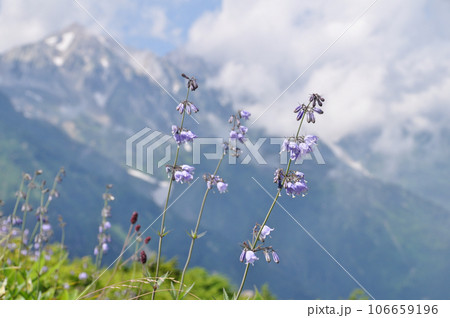 八方尾根にて 106659196