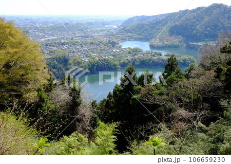 山から見下ろす春の津久井湖 【相模原市津久井 4月】 山から見下ろす春の津久井湖 【相模原市津久井 4月】 106659230