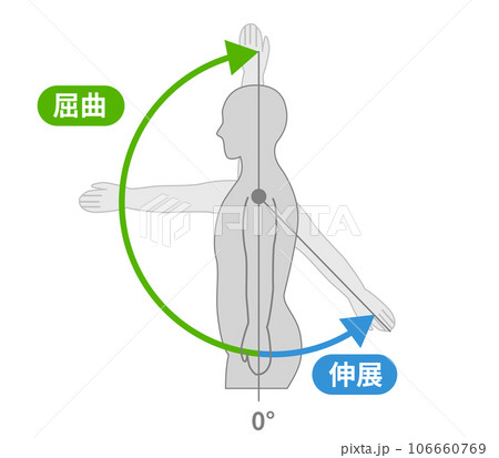 肩関節の動作と運動方向 106660769