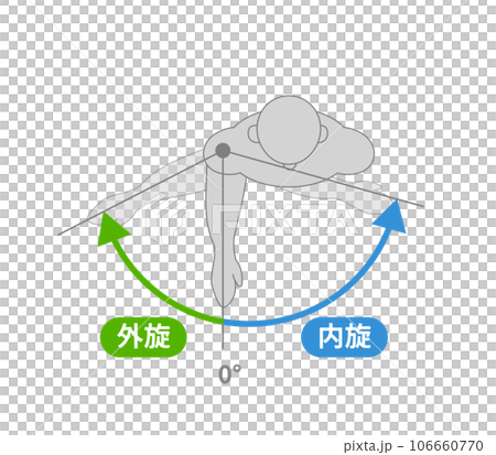 肩関節の動作と運動方向 肩関節の動作と運動方向 106660770