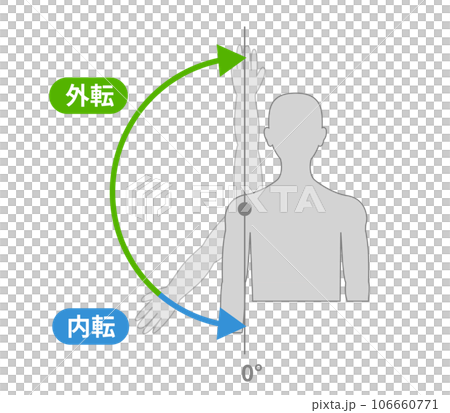 Movement and direction of shoulder joint Movement and direction of shoulder joint 106660771