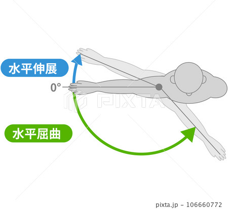 肩関節の動作と運動方向 肩関節の動作と運動方向 106660772
