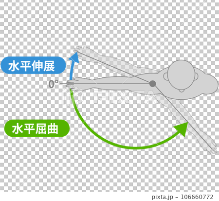 肩関節の動作と運動方向 肩関節の動作と運動方向 106660772