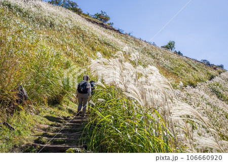 ススキの名所【曽爾高原・奈良県】 ススキの名所【曽爾高原・奈良県】 106660920