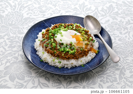 キーマカレー キーマカレー 106661105