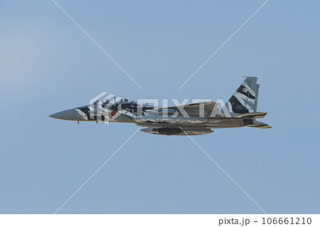 航空自衛隊飛行教導群F-15DJイーグル 航空自衛隊飛行教導群F-15DJイーグル 106661210