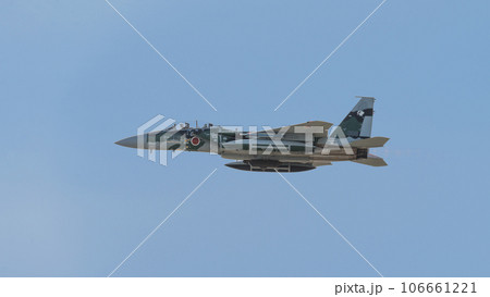 航空自衛隊飛行教導群F-15DJイーグル 106661221