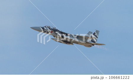 航空自衛隊飛行教導群F-15DJイーグル上昇 航空自衛隊飛行教導群F-15DJイーグル上昇 106661222