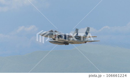 航空自衛隊飛行教導群F-15DJイーグル 106661224
