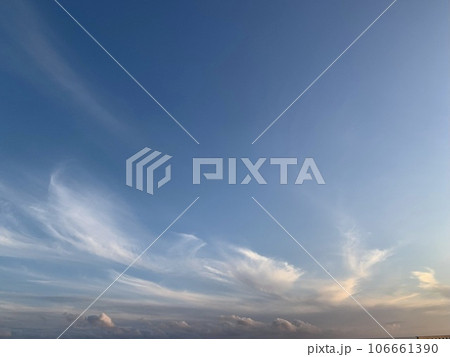 106661390