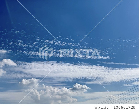 106661729