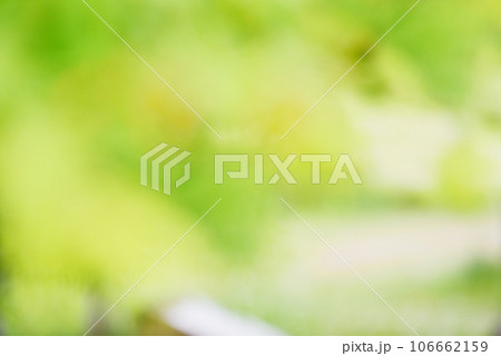 グリーンの玉ボケ　グラデーション　背景素材 106662159