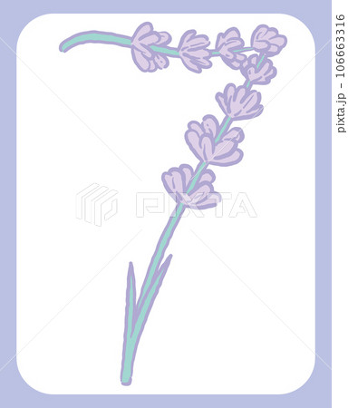 ラベンダーのスケッチ風、デザイン文字の数字。「7」。ベクター素材。 ラベンダーのスケッチ風、デザイン文字の数字。「7」。ベクター素材。 106663316