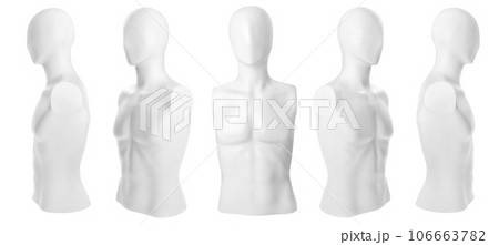 The mannequin's body 106663782