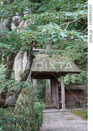 光前寺 駒ケ根市 長野県 霊犬 早太郎 霊犬早太郎説話 寺社 歴史 光前寺 駒ケ根市 長野県 霊犬 早太郎 霊犬早太郎説話 寺社 歴史 106664107