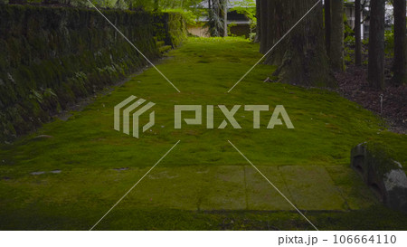 光前寺　駒ケ根市　長野県　霊犬　早太郎　霊犬早太郎説話　寺社　歴史 106664110