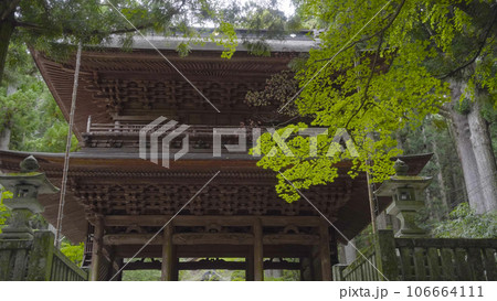 光前寺　駒ケ根市　長野県　霊犬　早太郎　霊犬早太郎説話　寺社　歴史 106664111
