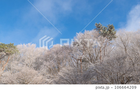 冬の景色　霧氷 106664209