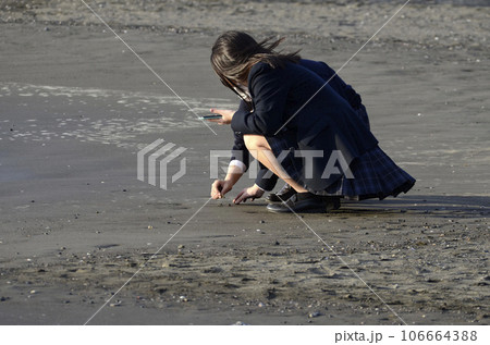 浜辺の女子高生 浜辺の女子高生 106664388