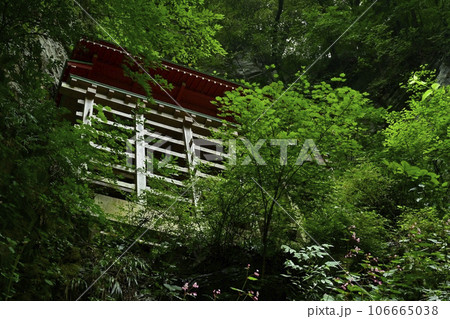 出流山千手院満願寺の奥之院の拝殿に秋海棠 出流山千手院満願寺の奥之院の拝殿に秋海棠 106665038
