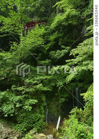 出流山千手院満願寺の奥之院の拝殿に大悲の滝 出流山千手院満願寺の奥之院の拝殿に大悲の滝 106665040