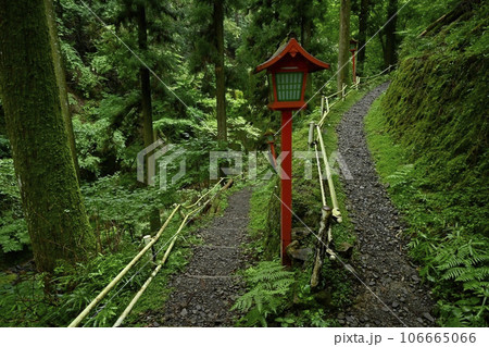出流山千手院満願寺の奥之院への参道 出流山千手院満願寺の奥之院への参道 106665066