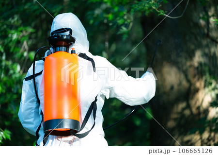 Worker spraying pesticide onto green lawn outdoors, closeup. Pest control 106665126