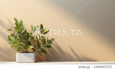 Minimalistic light background with blurred foliage shadow on a white wall. Beautiful background for presentation with with smooth floor 106665255