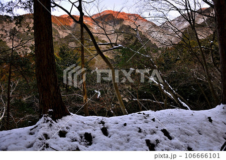 朝焼けの冬の山地　丹沢の小草平尾根より小丸尾根 106666101