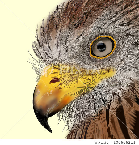 リアルな鳥のイラスト 106666211