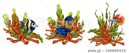 A set of exotic compositions with an underwater world. Digital drawings of red corals, seaweed, tropical fish on a white background. For printing stickers, posters, postcards, prints 106666928