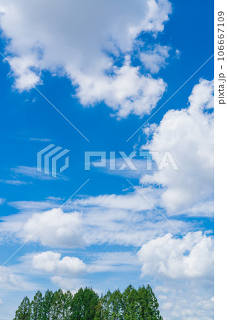 大空と樹木 背景素材 大空と樹木 背景素材 106667109