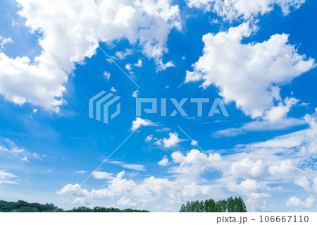 大空と樹木  背景素材 106667110