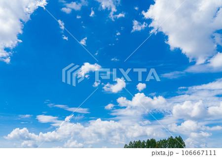 大空と樹木 背景素材 大空と樹木 背景素材 106667111