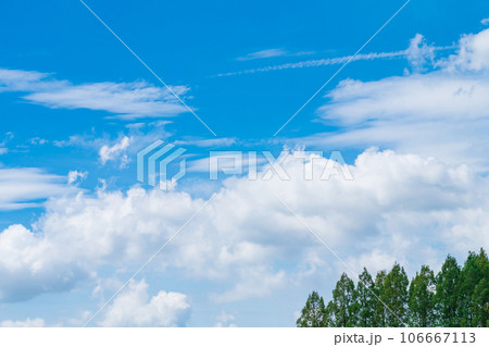 大空と樹木  背景素材 106667113