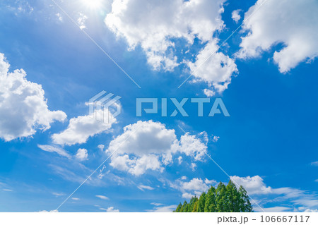 大空と樹木  背景素材 106667117