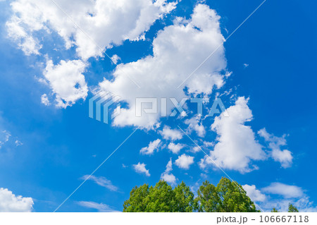 大空と樹木  背景素材 106667118