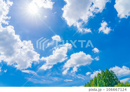 大空と樹木  背景素材 106667124
