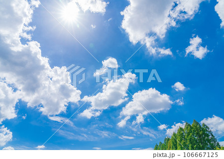 大空と樹木  背景素材 106667125