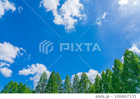 大空と樹木 背景素材 大空と樹木 背景素材 106667135