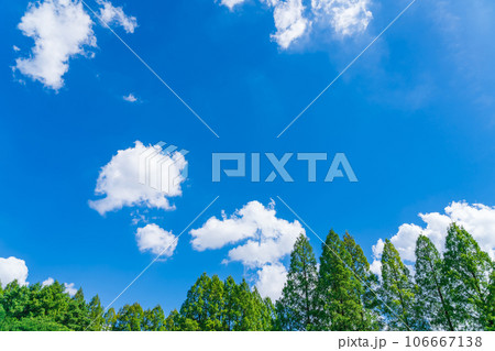 大空と樹木  背景素材 106667138