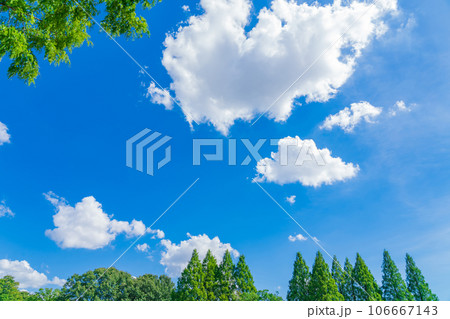 大空と樹木 背景素材 大空と樹木 背景素材 106667143