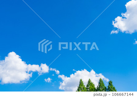 大空と樹木 背景素材 大空と樹木 背景素材 106667144