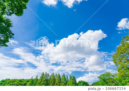 大空と樹木  背景素材 106667154